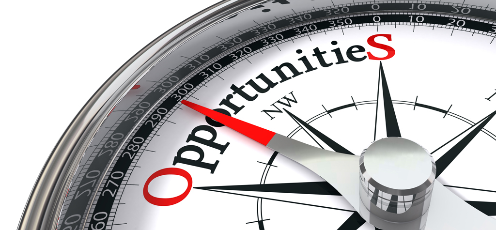 Post School Career Options